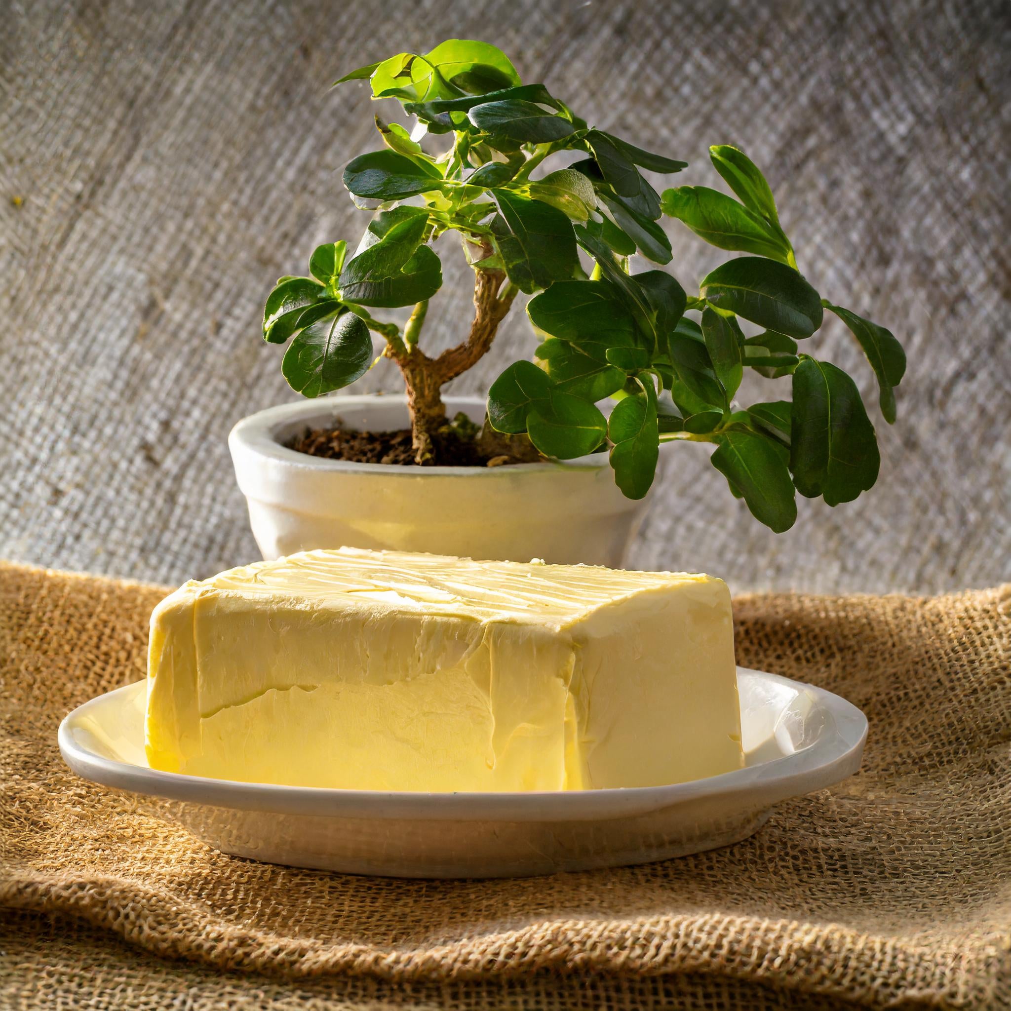 Handchurned Butter